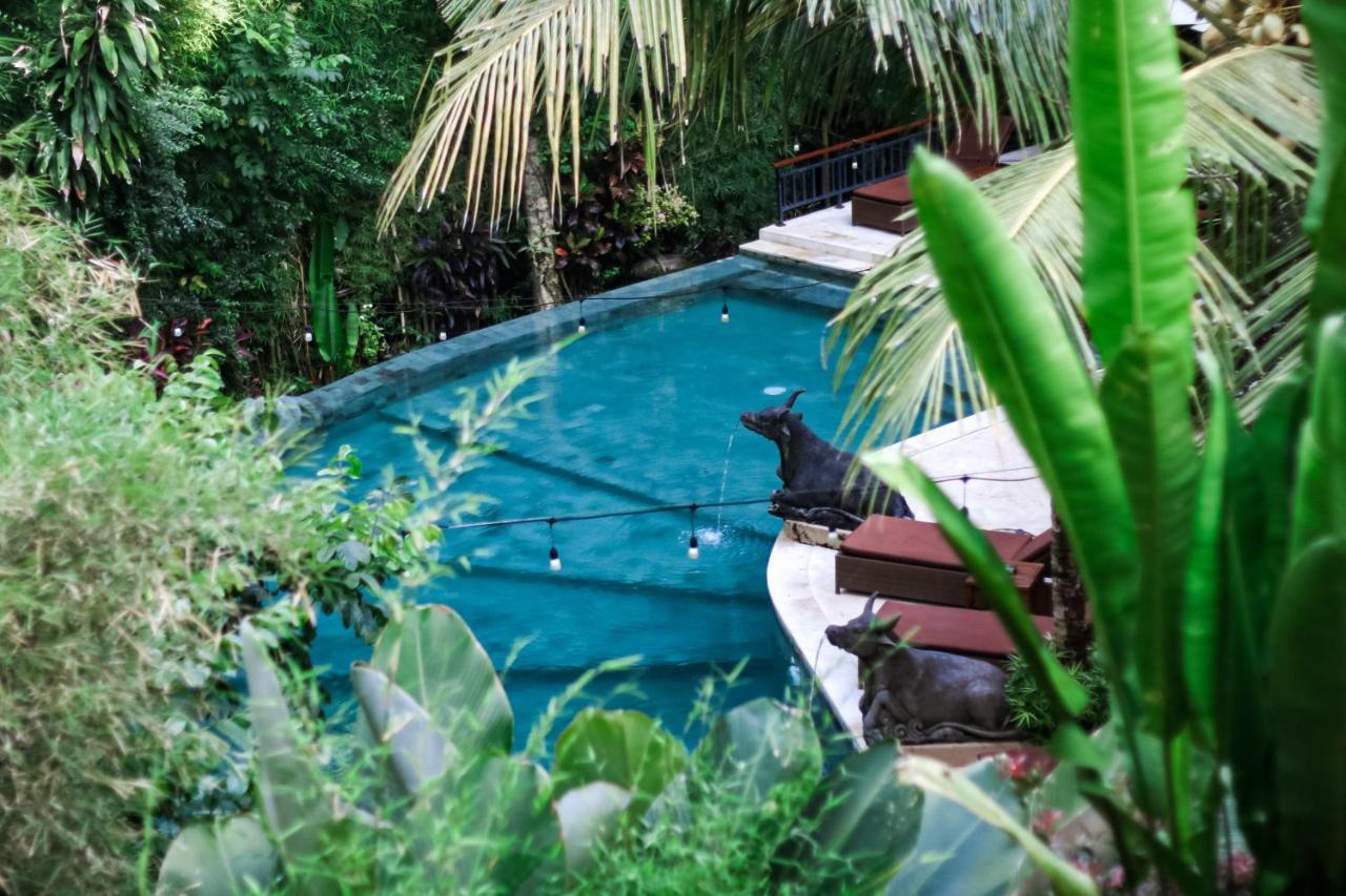 Jungle Haven Resort Central Ubud Exterior photo